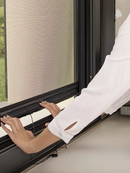 Zanzariera per finestra Sintesi di Palagina