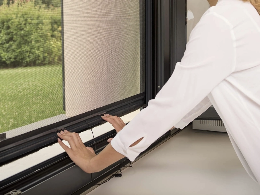 Zanzariera per finestra Sintesi di Palagina